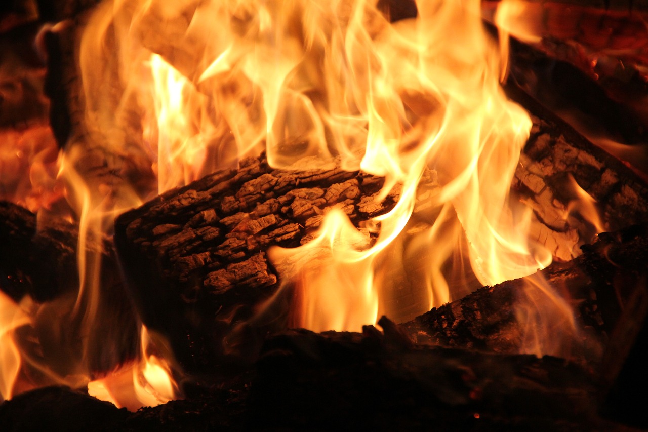 Professional Fireplace Cleaning Services In Wellington Florida